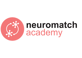 Lead TA for neuroscience image