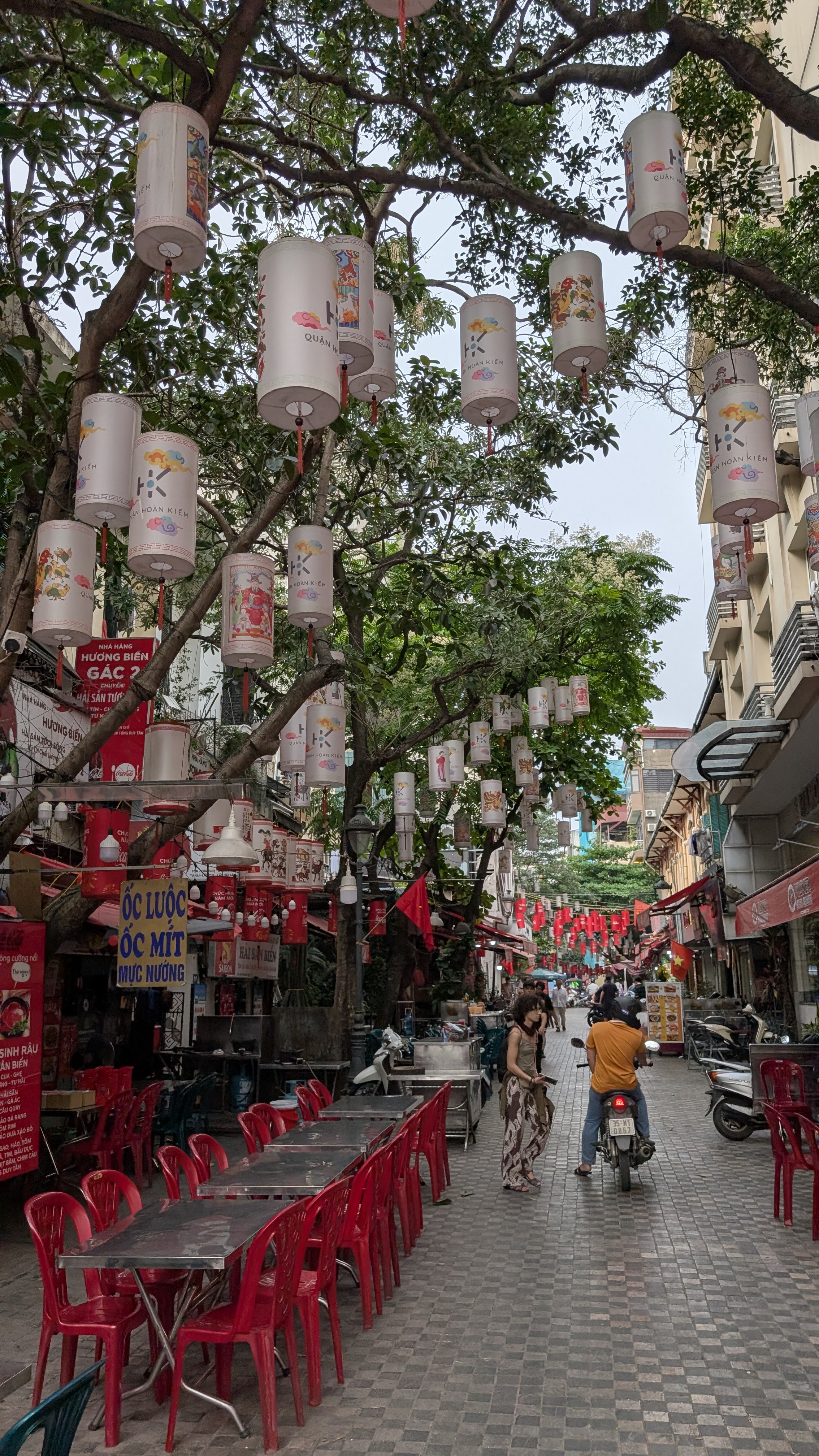 image preview for Ho Chi Minh trail racing giants: Part 1